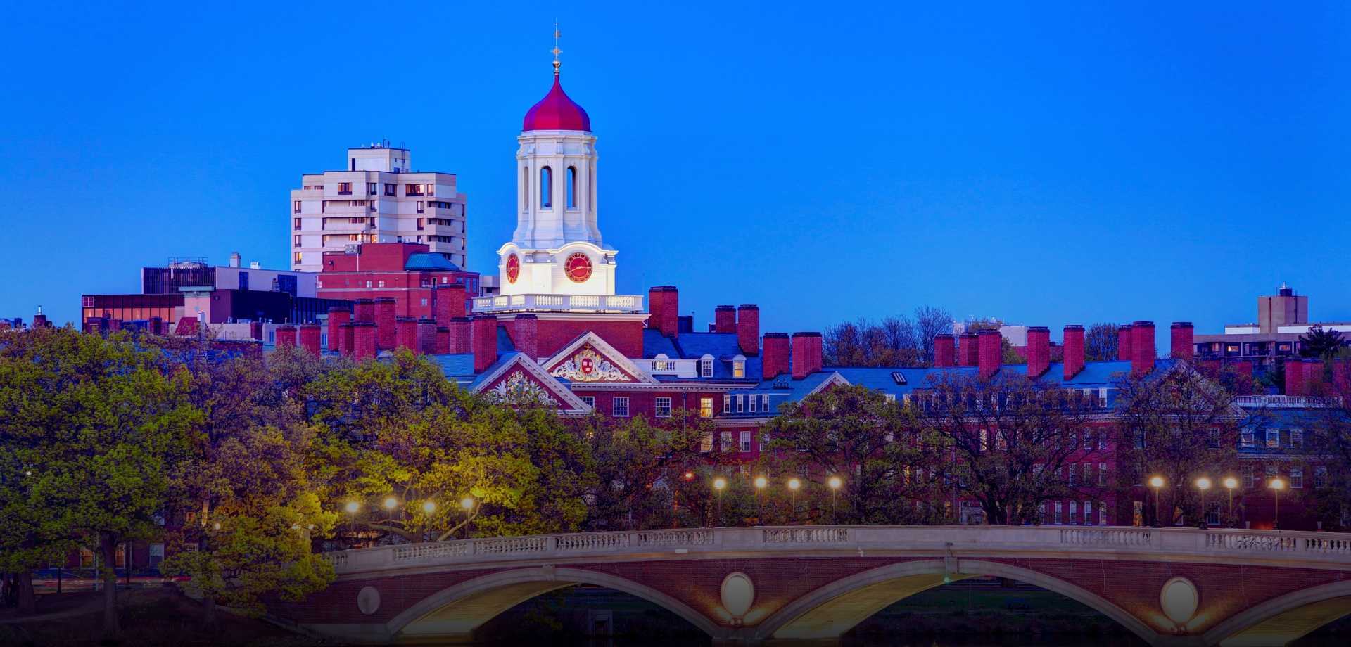 O Poder do Networking: Estudos de Harvard e Grandes Universidades Comprovam sua Influência